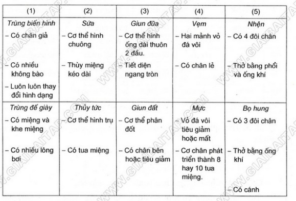 Giải bài 1 trang 101 sgk Sinh 7 | Để học tốt Sinh 7