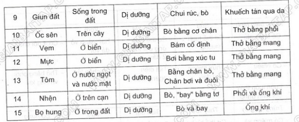 Giải bài 2 trang 101 sgk Sinh 7 | Để học tốt Sinh 7