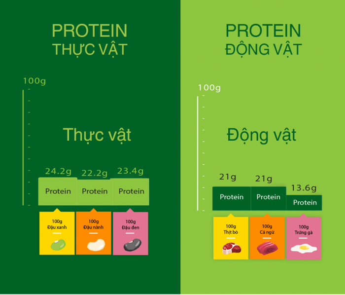 protein thực vật và protein động vật