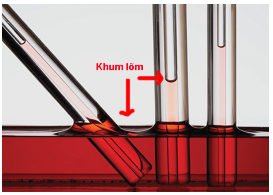 hiện tượng mao dẫn