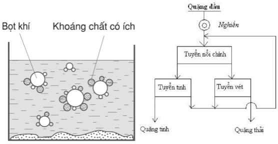 ứng dụng của hiện tượng dính ướt và hiện tượng không dính ướt