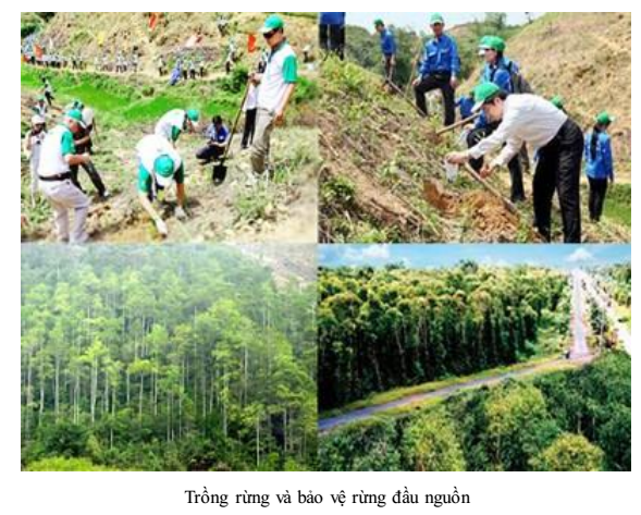 Bảo vệ hệ sinh thái rừng