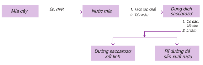 quy trình sản xuất đường saccarozơ