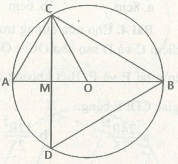 bài tập đường kính và dây của đường tròn