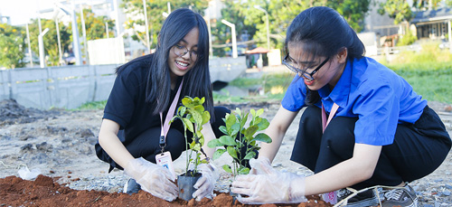 Sinh viên ĐH Văn Lang xây dựng cảnh quan cạnh Bờ kênh Rạch Lăng