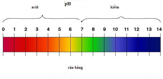 tất tần tật lý thuyết độ pH chuẩn nhất