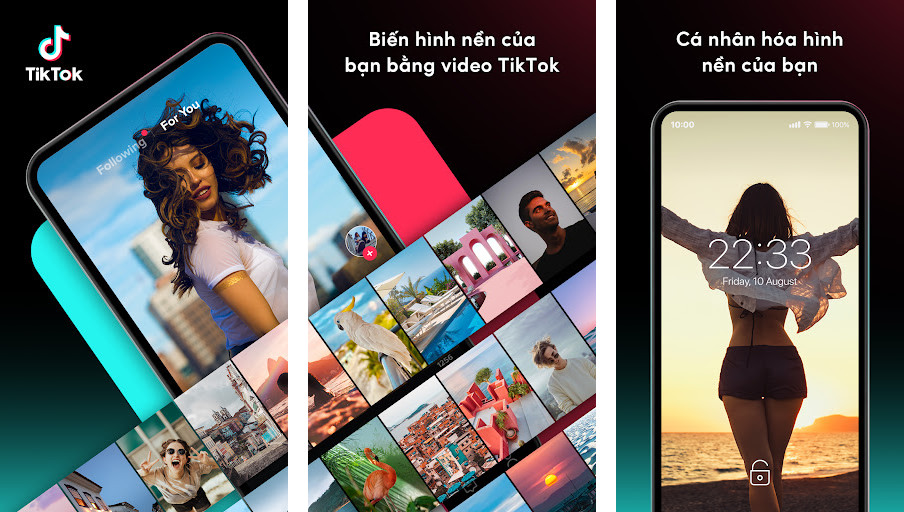 TikTok Video Wallpaper - Biến video TikTok thành hình nền động, Tùy chỉnh tốc độ, hướng và hiệu ứng